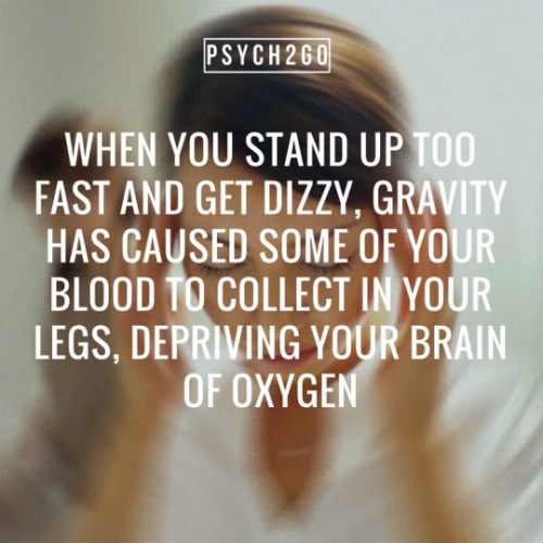 psych2go:If you like more psychology factoids, could you follow...