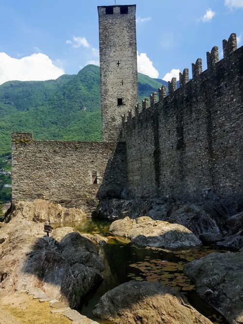 Stone towers are peeking from between sculpted buildings,...