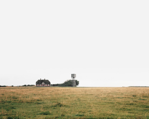 finn-wilkie:Johansen Skovsted, Tipperne Bird Sanctuary Viewing...