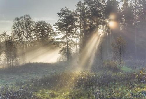 amazinglybeautifulphotography:[OC] Perfect foggy morning in the...