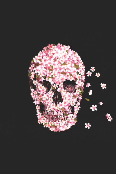 Flower Skull Tumblr