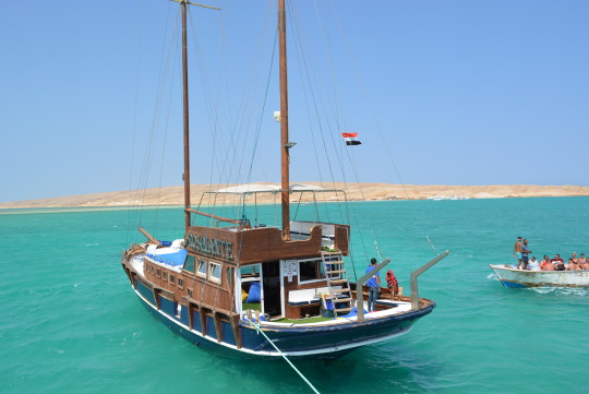 Г¤gypten Saudi Arabien Wm Г¤gypten Saudi Arabien Wm