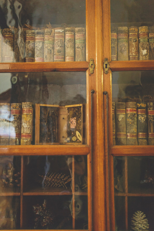 leirelatent:Nishe - Prague: Theological Hall, Philosophical...