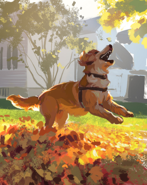 I painted a study of a doggo I saw on reddit yesterday and it...