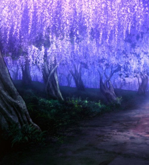 wisteria trees | Tumblr