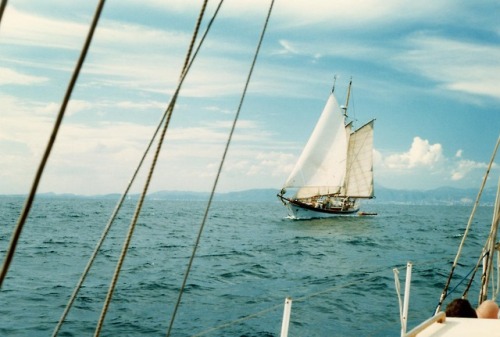 infected:Sailing Off the Majorcan South Coast by bestfor /...