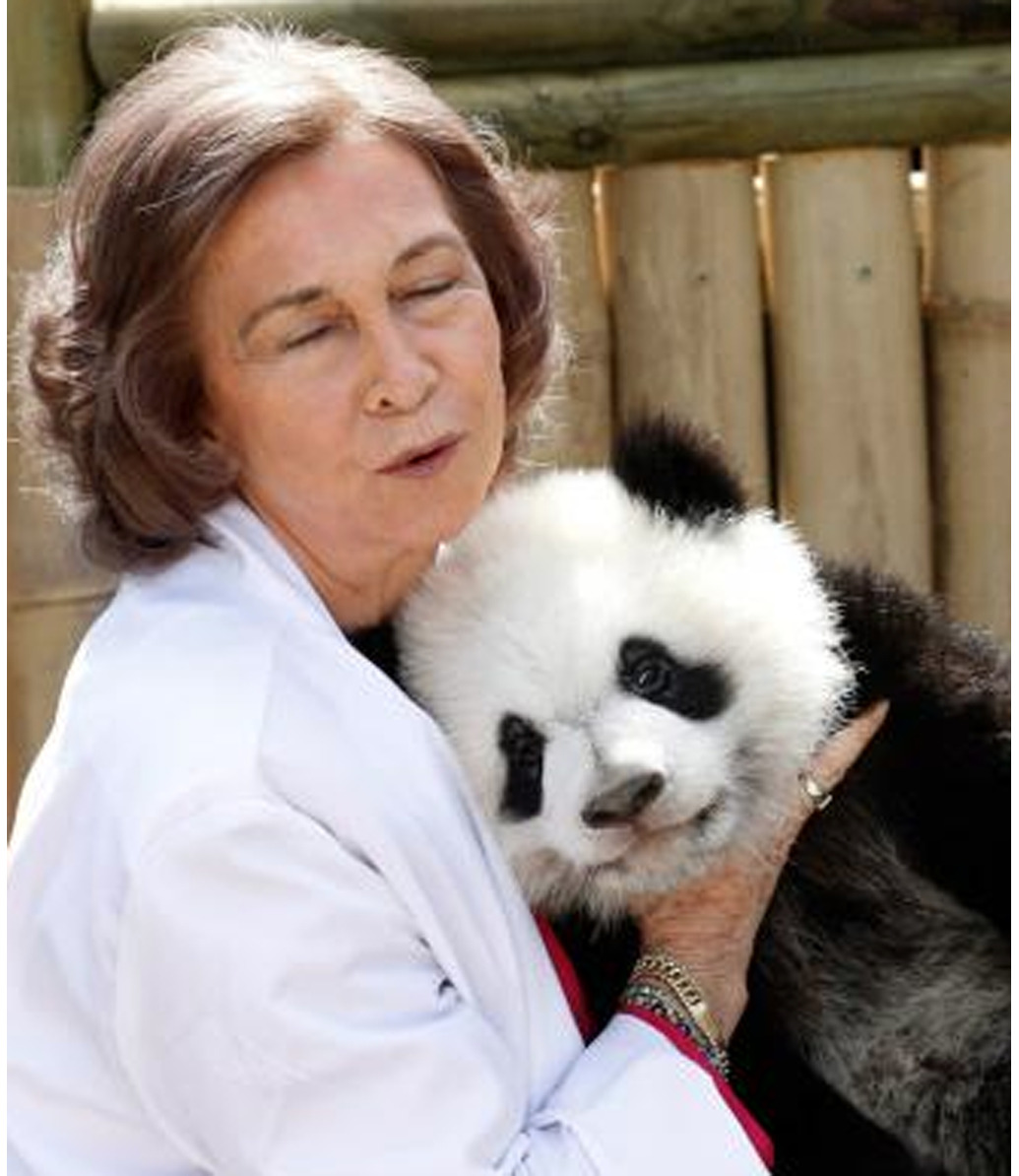 La Reina Sofía y los pandas