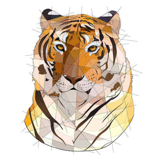 geometric tiger | Tumblr