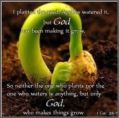 Walking with Jesus — 1 Corinthians 3:6-7 NKJV 6 I planted, Apollos...