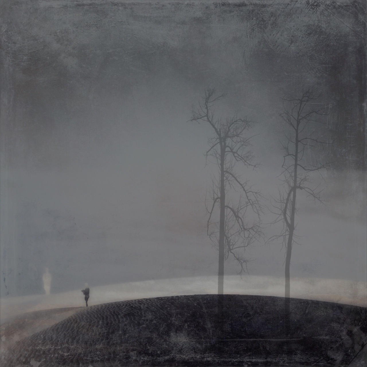 Barbara duBois Artist — Letting Go Is Easy Until You Actually Have To Do...