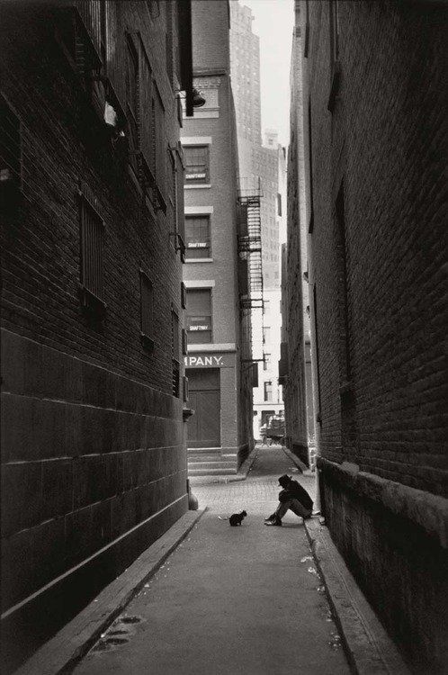 zzzze:
“Henri Cartier-Bresson, New York,1947
”