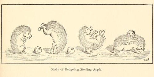 yesterdaysprint:A Book of Cheerful Cats and Other Animated...