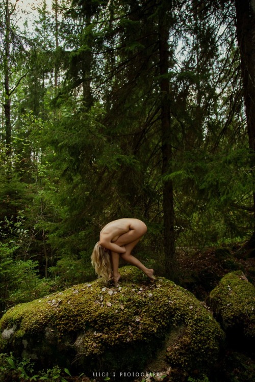 ~Uppland Forest~ 2018Model: Sylph SiaFull set contains 14 images...