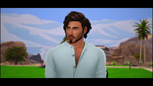 pt-sims