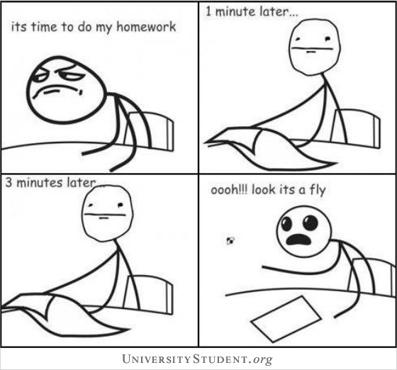 Do my university assignment
