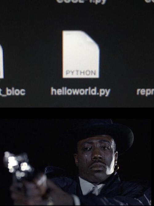programmerhumour