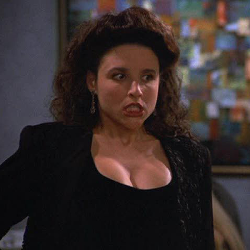 elaine benes seinfeld