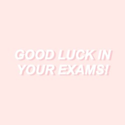 Image result for beautiful tumblr photography exam