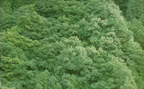 aixatumbrl:Moe no suzaku | Naomi Kawase | 1997