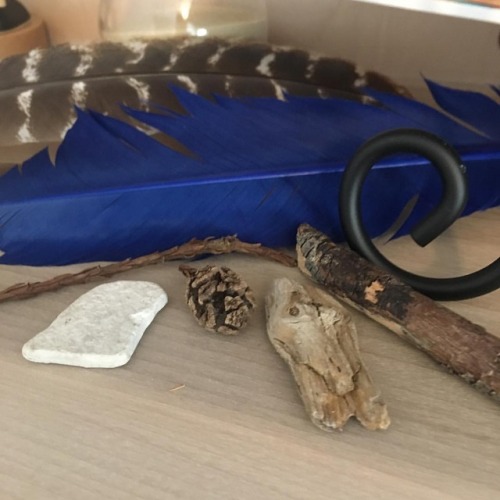 <p>Sometimes when I walk I pick up things that I find in nature. I put them in a place at home where I can be reminded of the healing power of nature and it’s beauty. These things on my shelf may have no monitory value but to me they are my favorite things. (at San Diego, California)<br/>
<a href="https://www.instagram.com/p/Brak2ICAMn4/?utm_source=ig_tumblr_share&igshid=k89ydp4esb9z">https://www.instagram.com/p/Brak2ICAMn4/?utm_source=ig_tumblr_share&igshid=k89ydp4esb9z</a></p>