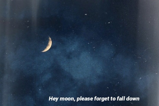 northern downpour // panic at the disco