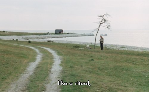 exhaustedscreen:The Sacrifice (Andrei Tarkovsky, 1986).