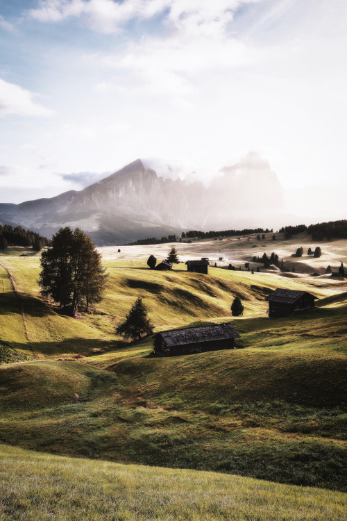 modernnorth