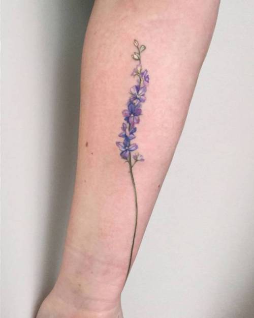 By Amanda Wachob, done at Amanda Wachob Tattoo Studio, Brooklyn.... flower;small;watercolor;tiny;lavender;ifttt;little;nature;amandawachob;inner forearm;medium size