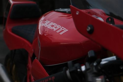 DUCATI Monster