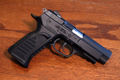 gun-gallery:EAA Tanfoglio Witness - 9x19mm