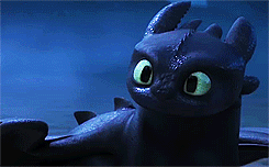 Lostchel (Toothless and The Light Fury.)