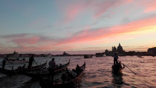 beforevenice