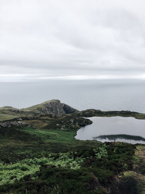 autumncat:slieve league cliffs, ireland