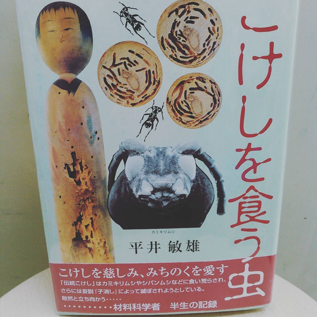 澤口書店 巌松堂ビル店 こけしを食う虫 平井敏雄 カミキリムシ