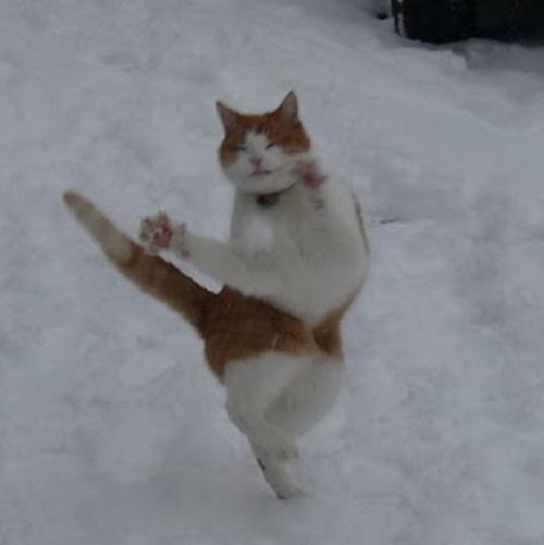 meowmixofdoom:ayujochuu:…she sure likes snow.She dance