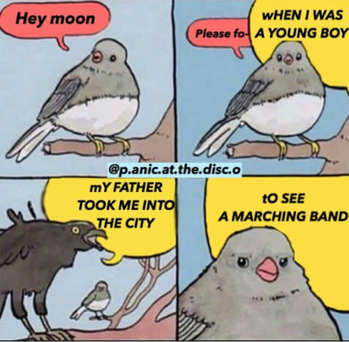 the-sass-parade:just some band memes i found lol