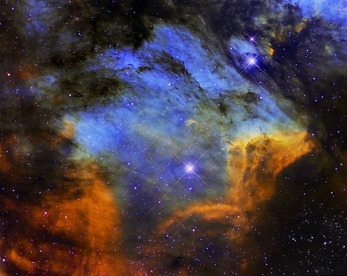 astronomyblog:Pelican NebulabyRoberto Colombari