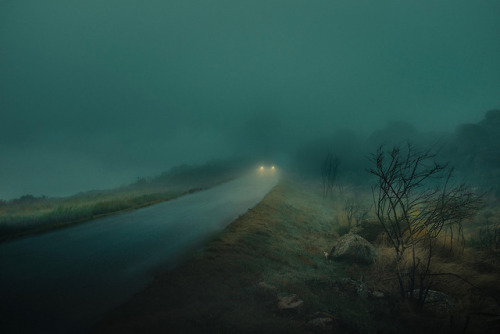 itscolossal:Headlights Cut Through Dense Fog in Moody Images...