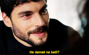 2. Hercai- Inimă schimbătoare -comentarii -Comments about serial and actors - Pagina 37 Tumblr_psj4t6g3si1wygd7so5_400