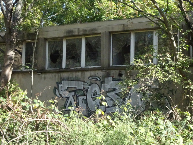 halle 2019