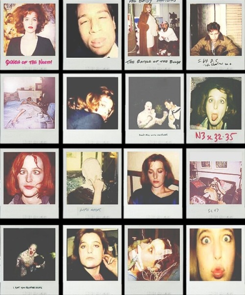 Amateur Porn Christa 1991 Polaroid - Showing Porn Images for Polaroids 1990s christa porn | www.porndaa.com