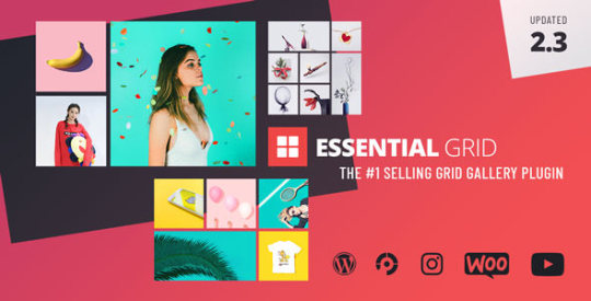 Essential Grid WordPress Plugin v2.3.5 Nulled