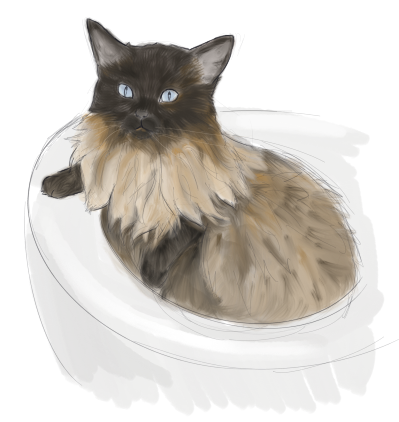 learningtodrawonesketchatatime