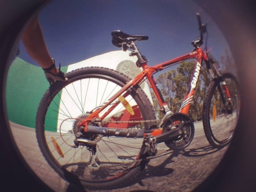 No words needed #worldbycicleday #mexico #mtb #lensbible...