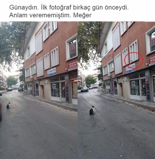 @büşra