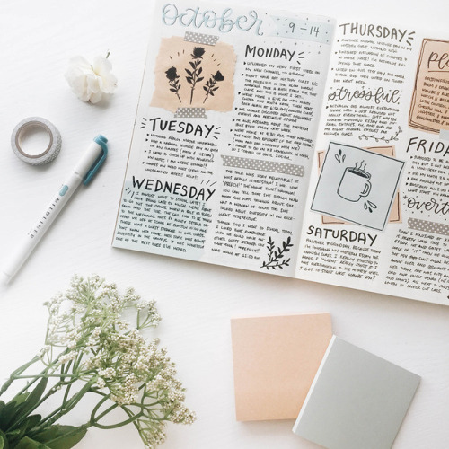 studypetals:athenus:2nd week // october (ft. the flower i...