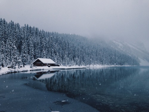 expressions-of-nature:Lake Louise, Alberta by xxandresenxx