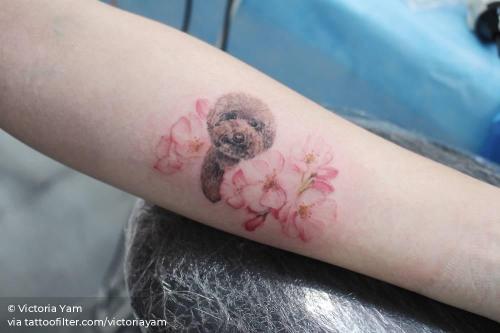 By Victoria Yam, done in Hong Kong. http://ttoo.co/p/34973 animal;cherry blossom;dog;facebook;flower;four season;illustrative;inner forearm;medium size;nature;pet;poodle;spring;twitter;victoriayam
