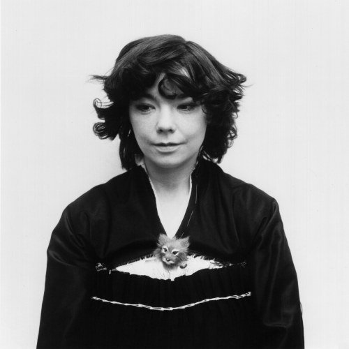 warmthestcord:Björk