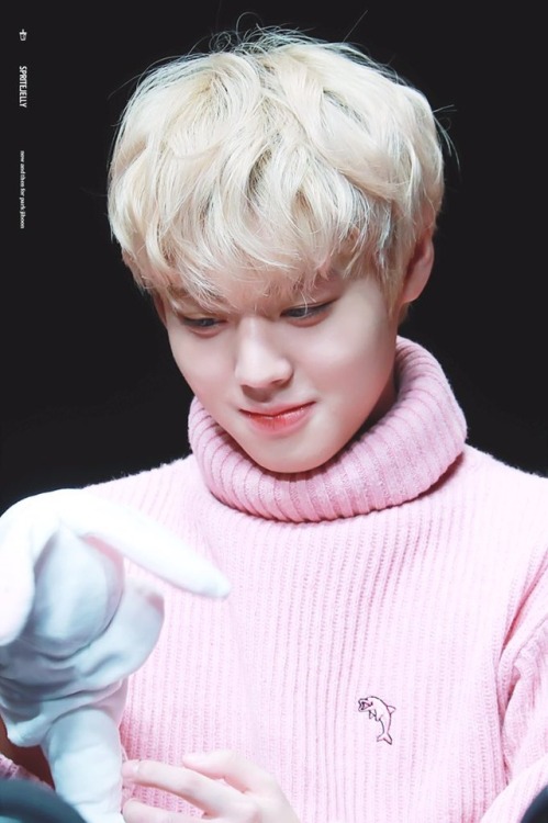 fyeah park jihoon